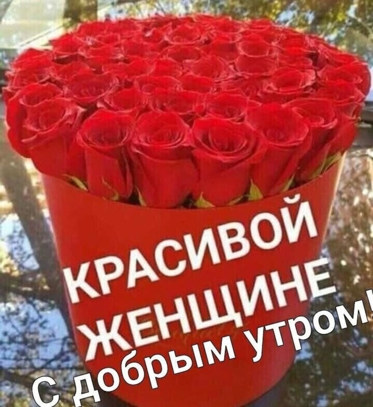 Поздравления с днём рождения