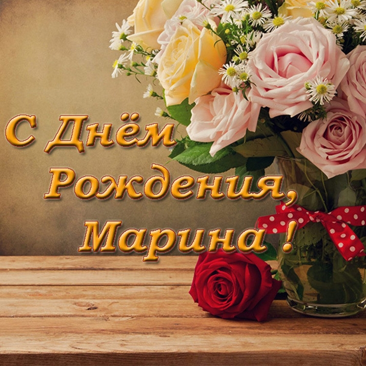 Кот поздравляет