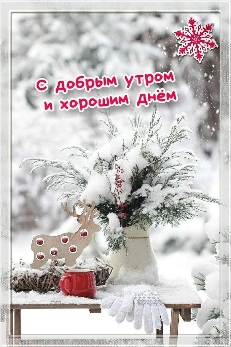 Доброе зимнее утро