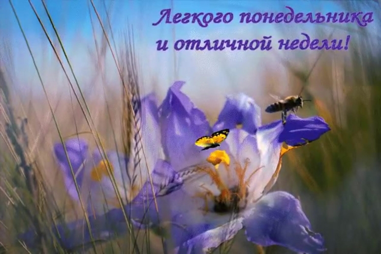 Открытки с понедельником