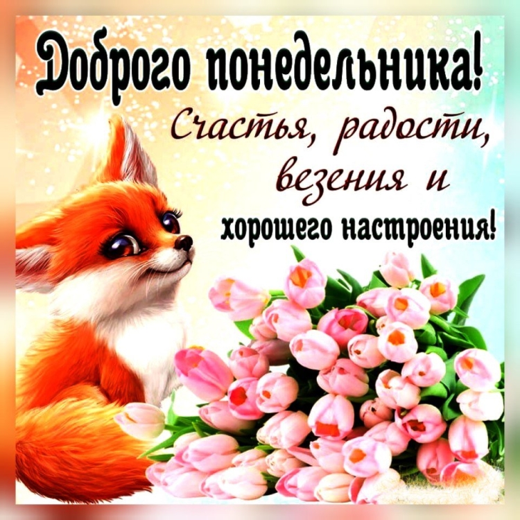Открытки с добрым утром понедельника
