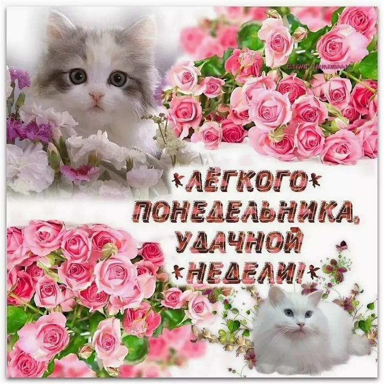 Поздравление с понедельником