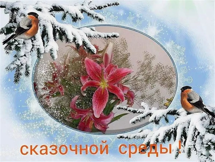 С понедельником удачной недели