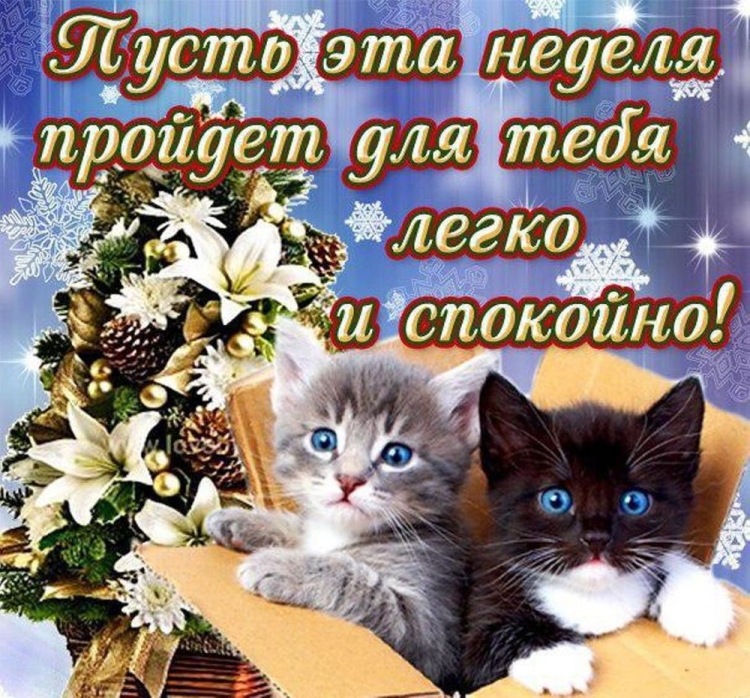 С добрыи зимнем утром понедельника