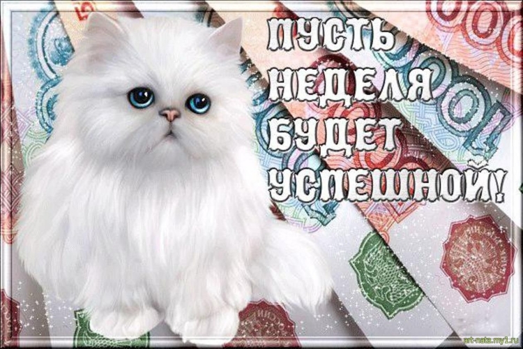 Хорошего зимнего понедельника