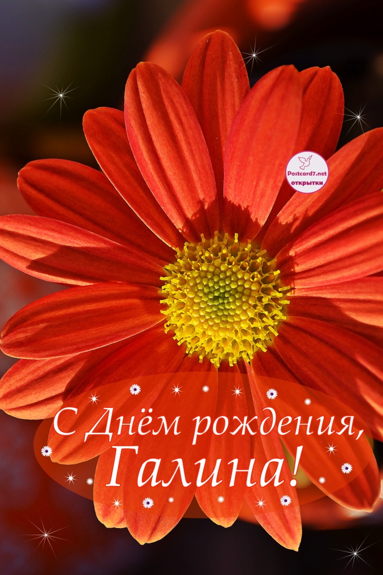 Открытки с юбилеем женщине