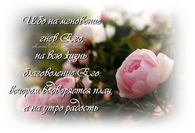 Стихи с днём рождения