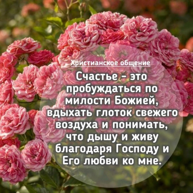 Поздравление для Натальи