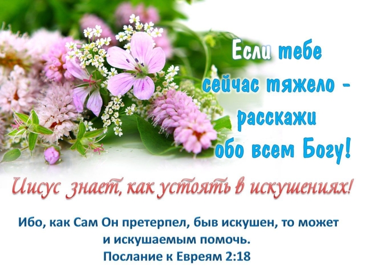 С днём рождения Александр