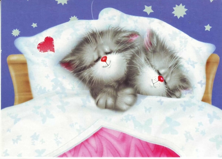 Кот из под одеяла