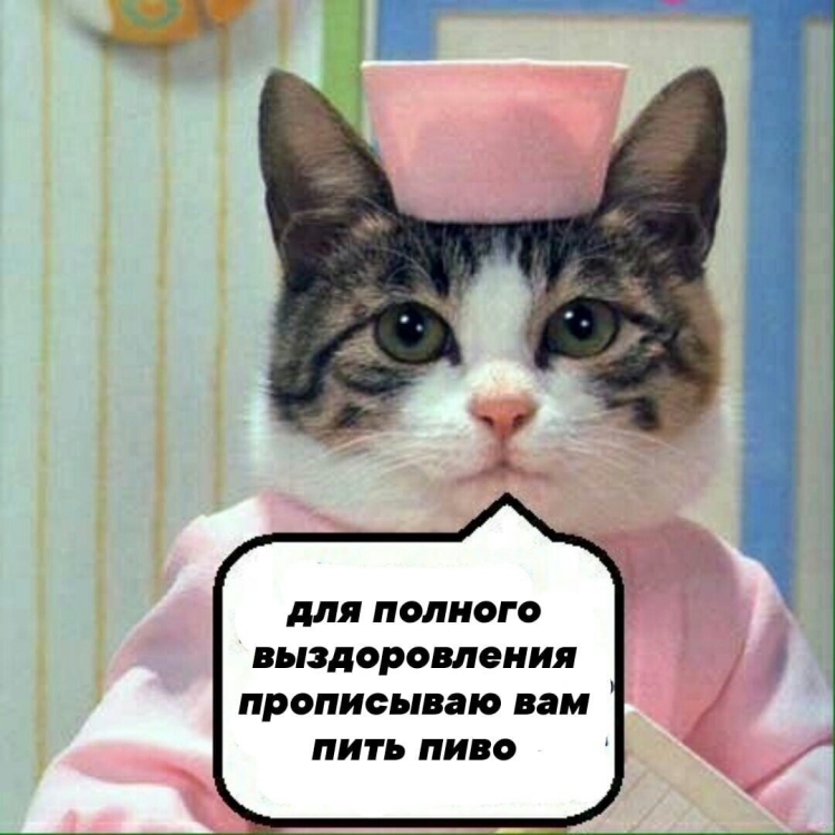 Мишки поправляйся
