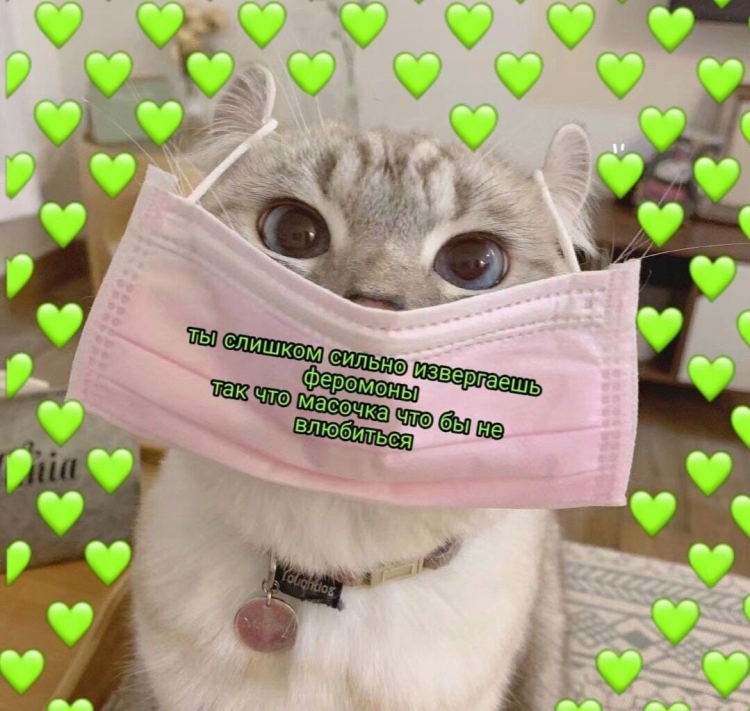 Котик не болей