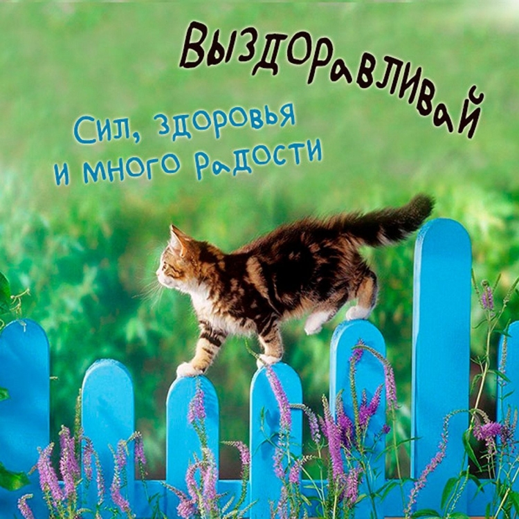 Открытка «с днем варенья»