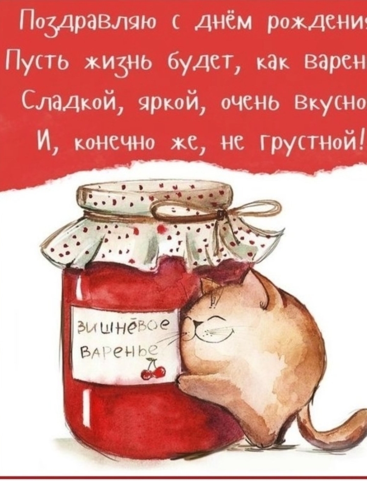 Кот медицина