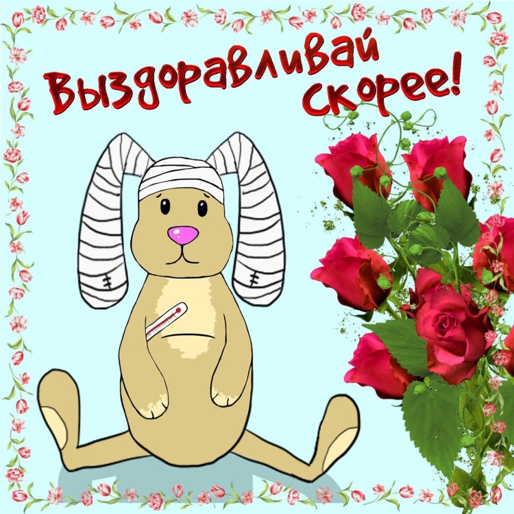 Коты Алексея Долотова спокойной ночи