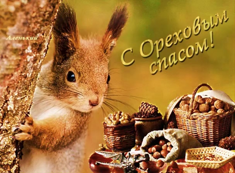 Чудесной зимы