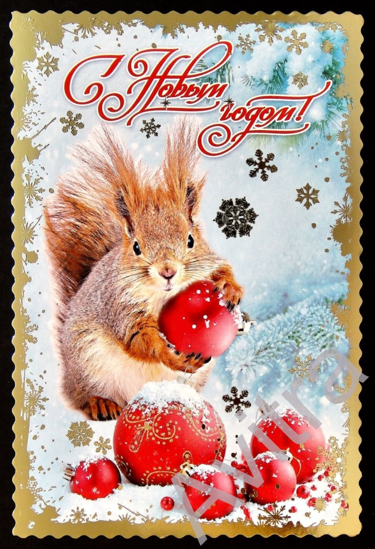 Новогодние открытки с белками