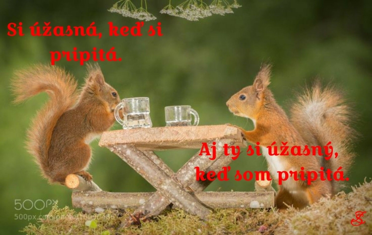Белка из сказки