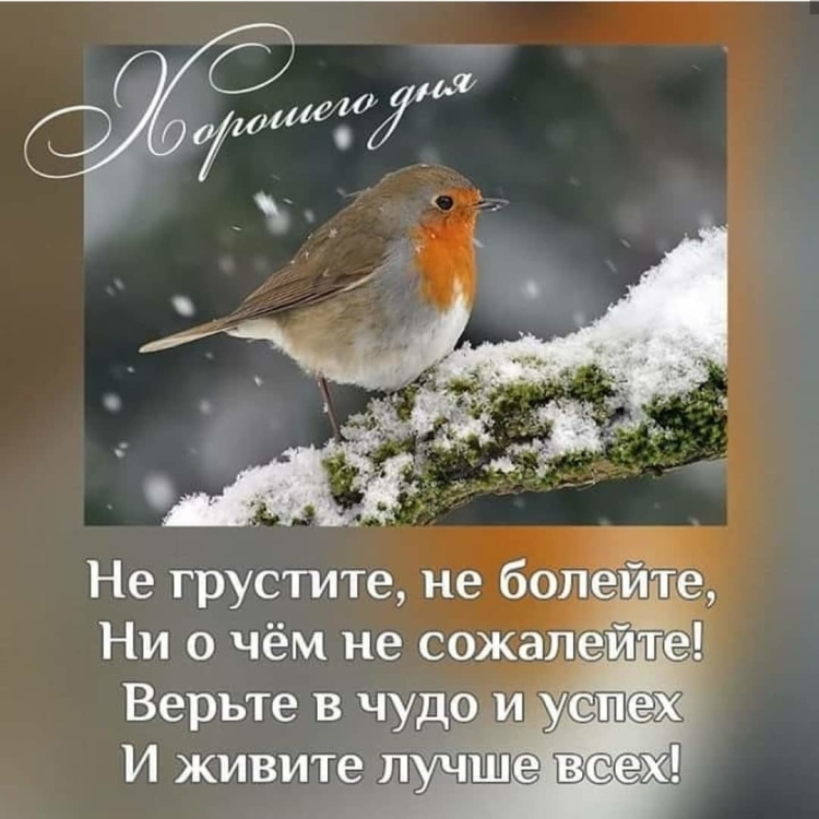 Доброго зимнего утра цитаты