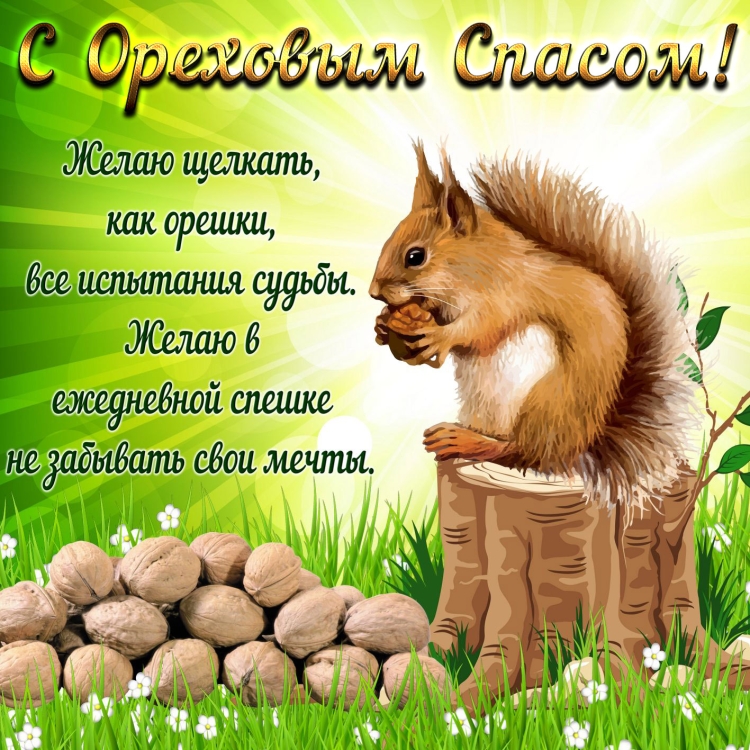 Животные зимой
