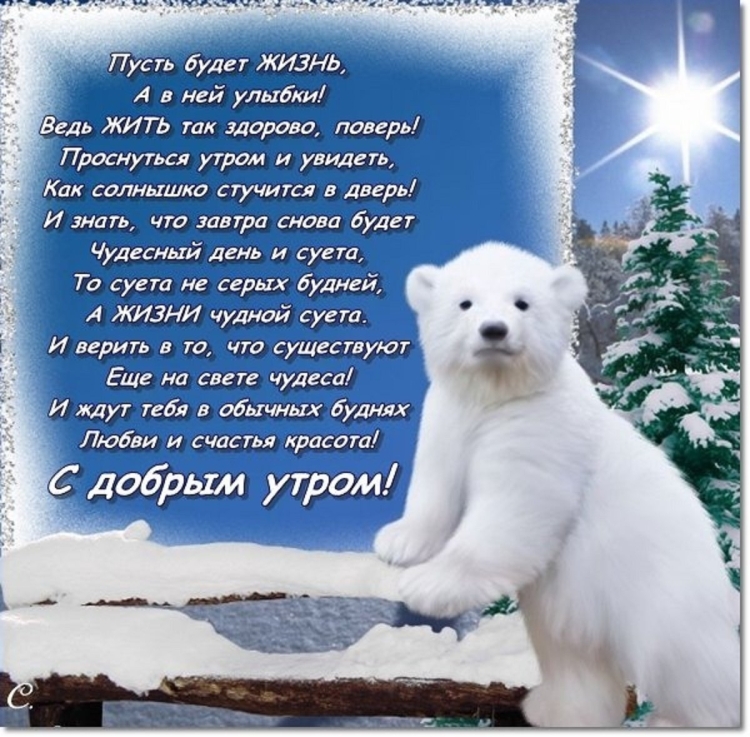 Пожелания с добрым зимним утром
