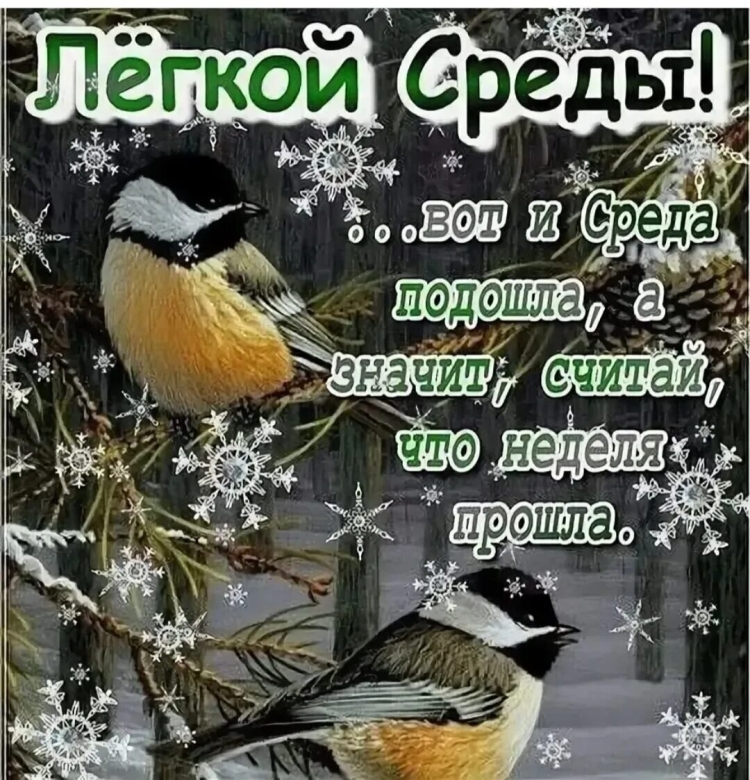 Нежные цветы в снегу