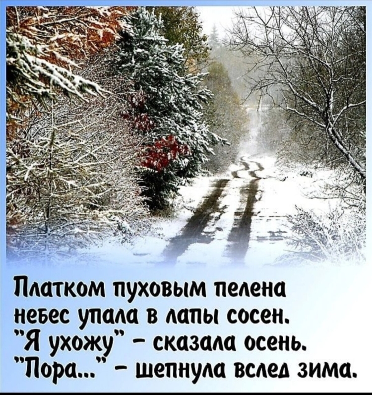Открытки зимняя среда