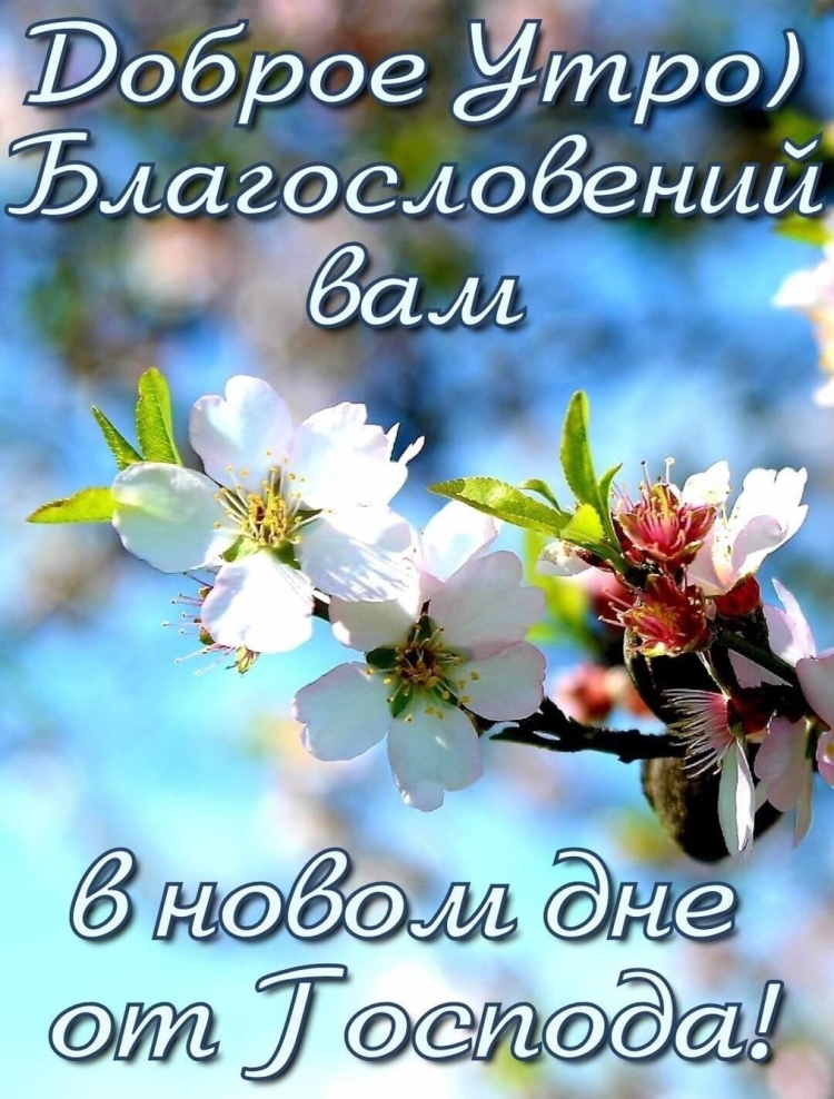 Доброе зимнее утро