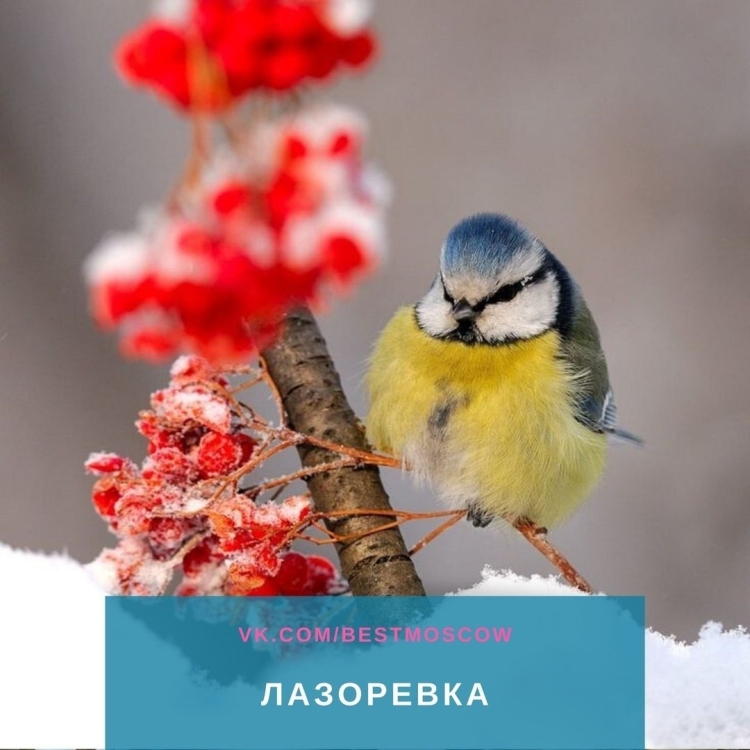 Утро последний день зимы