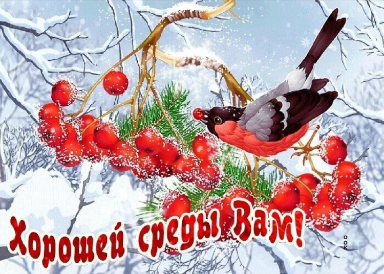 Доброго зимнего дня