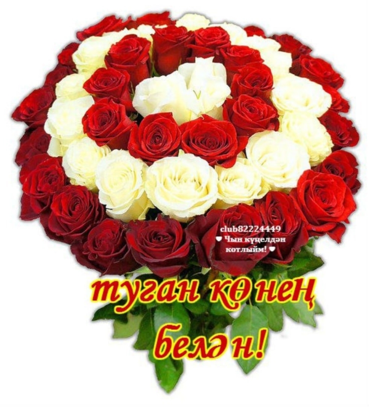 Туган конен роза