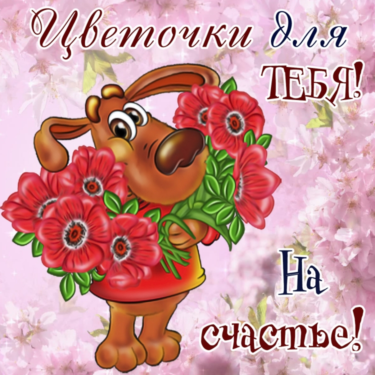 Поздравления с днём рождения Ларисе