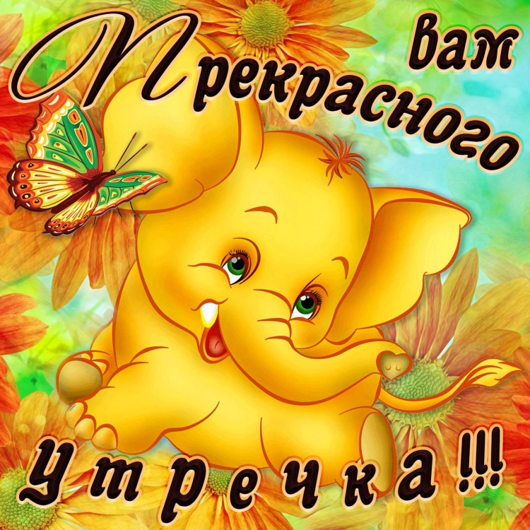 Шуточные пожелания с добрым утром