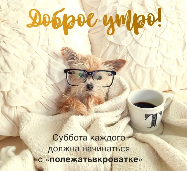Открытки с добрым утром прикольные