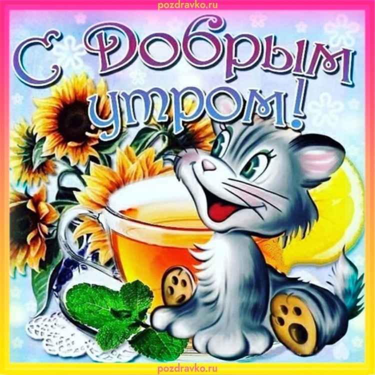 Пожелания с добрым утром прикольные