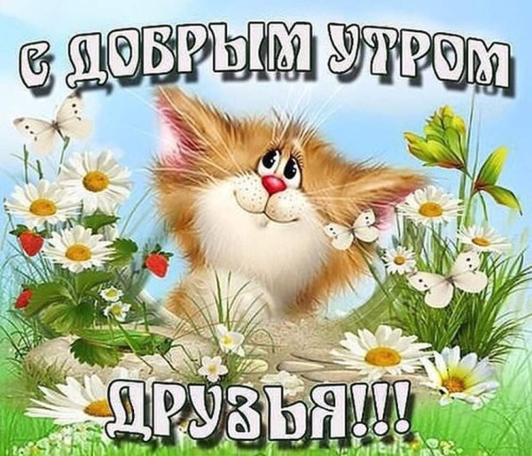 Веселые пожелания с добрым утром