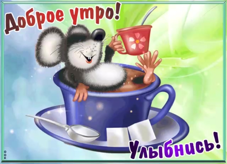 С добрым утром собаки