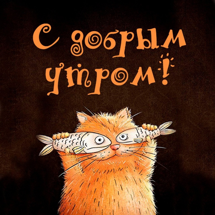 Субботнего утра и прекрасного дня