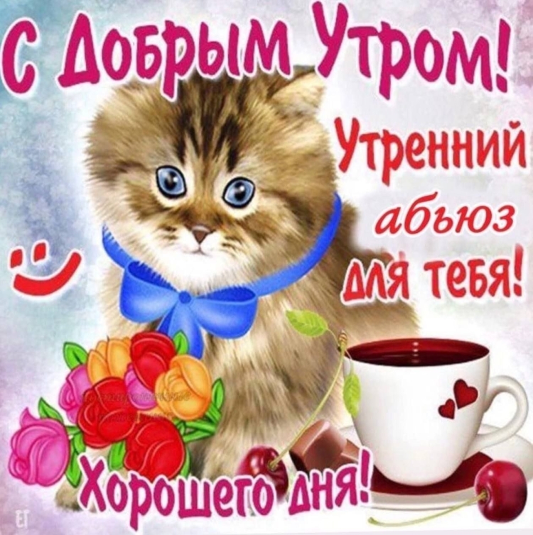 Не доброе утро