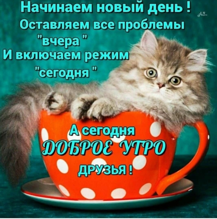 Пожелания с добрым утром в субботу