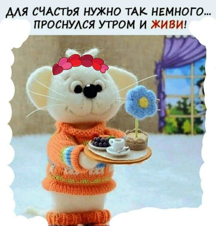 Открытки с добрым утром прикольные
