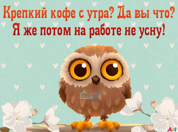 Пожелания доброго утра среды прикольные