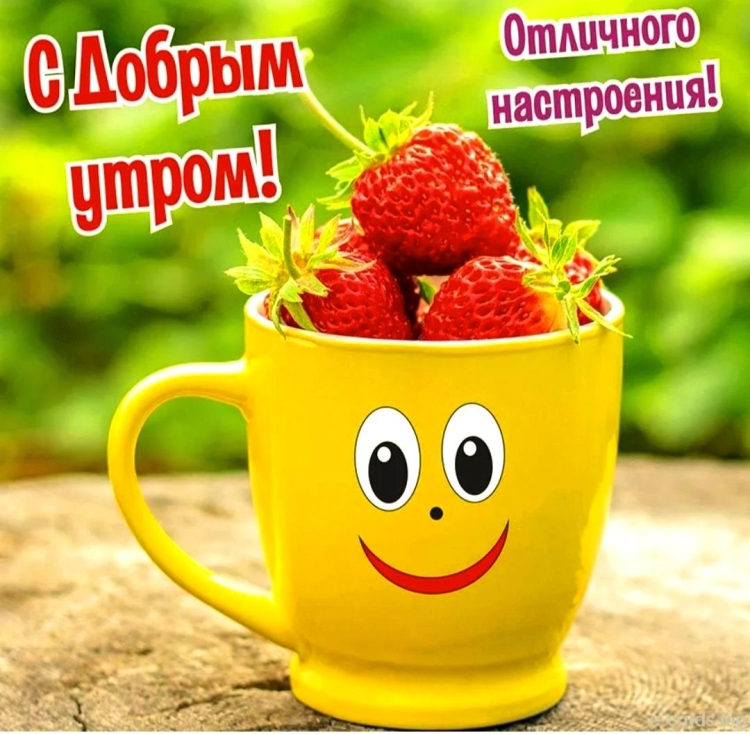 Открытки с добрым утром с шоколадом