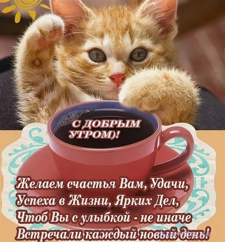 Анекдоты с добрым утром