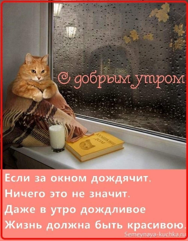 Доброе утро прикольные шуточные
