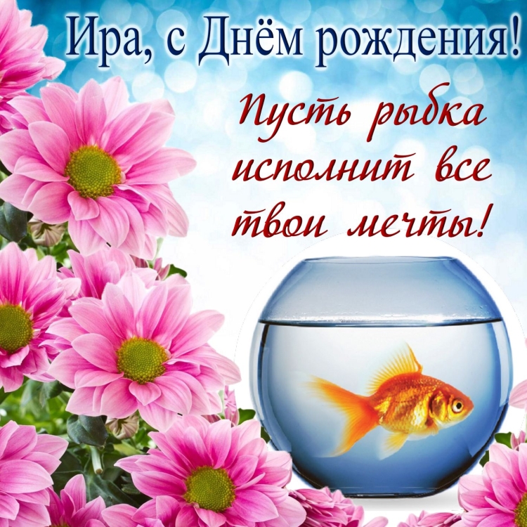 Смешные поздравления с днем рождения