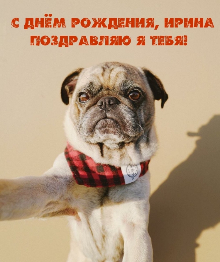 С днём рождения Катя
