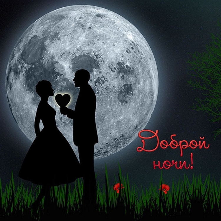 Двое в ночи