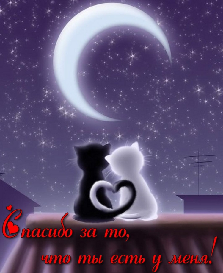Романтическая ночь