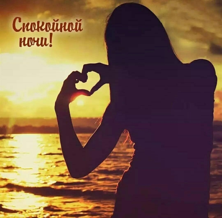 Романтические лебеди
